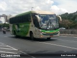 Pássaro Verde 11092 na cidade de Belo Horizonte, Minas Gerais, Brasil, por Boris Tulpen. Número da foto: #:id.