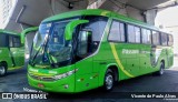 Pássaro Verde 11100 na cidade de Belo Horizonte, Minas Gerais, Brasil, por Vicente de Paulo Alves. Número da foto: #6576336.