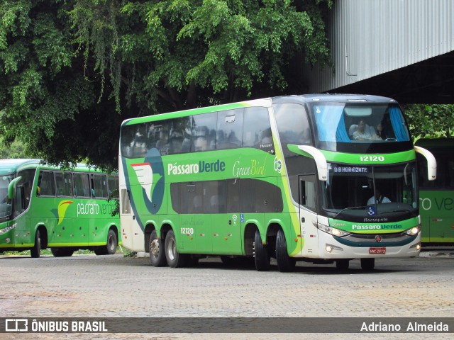 Pássaro Verde 12120 na cidade de Ponte Nova, Minas Gerais, Brasil, por Adriano  Almeida. Número da foto: #6579399.