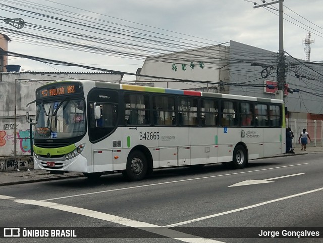 Viação Acari B42665 na cidade de Rio de Janeiro, Rio de Janeiro, Brasil, por Jorge Gonçalves. Número da foto: #6580226.
