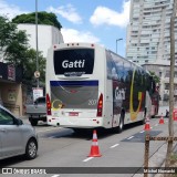 Gatti 207 na cidade de São Paulo, São Paulo, Brasil, por Michel Nowacki. Número da foto: #6582562.
