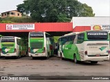 Pássaro Verde 29014 na cidade de Ouro Preto, Minas Gerais, Brasil, por Daniel Gomes. Número da foto: #6581363.
