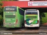 Pássaro Verde 1043 na cidade de Ouro Preto, Minas Gerais, Brasil, por Daniel Gomes. Número da foto: #6581318.
