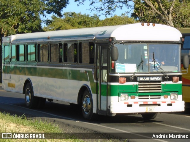 AVIA S.A. HB 2693 na cidade de Costa Rica, Mato Grosso do Sul, Brasil, por Andrés Martínez Rodríguez. ID da foto: 6543195.