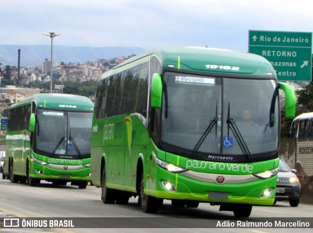 Pássaro Verde 19162 na cidade de Belo Horizonte, Minas Gerais, Brasil, por Adão Raimundo Marcelino. ID da foto: 6544349.