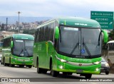 Pássaro Verde 19162 na cidade de Belo Horizonte, Minas Gerais, Brasil, por Adão Raimundo Marcelino. Número da foto: #6544349.
