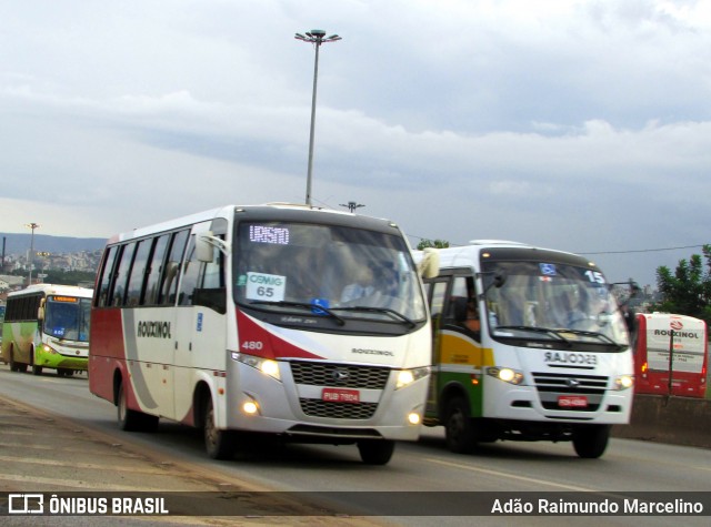 Rouxinol 480 na cidade de Belo Horizonte, Minas Gerais, Brasil, por Adão Raimundo Marcelino. ID da foto: 6589887.