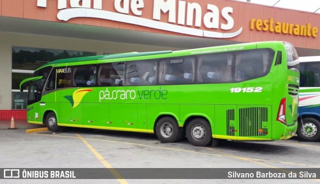 Pássaro Verde 19152 na cidade de Formiga, Minas Gerais, Brasil, por Silvano Barboza da Silva. Número da foto: #6598820.
