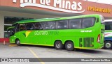 Pássaro Verde 19152 na cidade de Formiga, Minas Gerais, Brasil, por Silvano Barboza da Silva. Número da foto: #6598820.