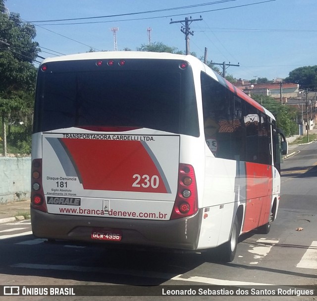 Branca de Neve Turismo 230 na cidade de Campinas, São Paulo, Brasil, por Leonardo Sebastiao dos Santos Rodrigues. Número da foto: #6602430.