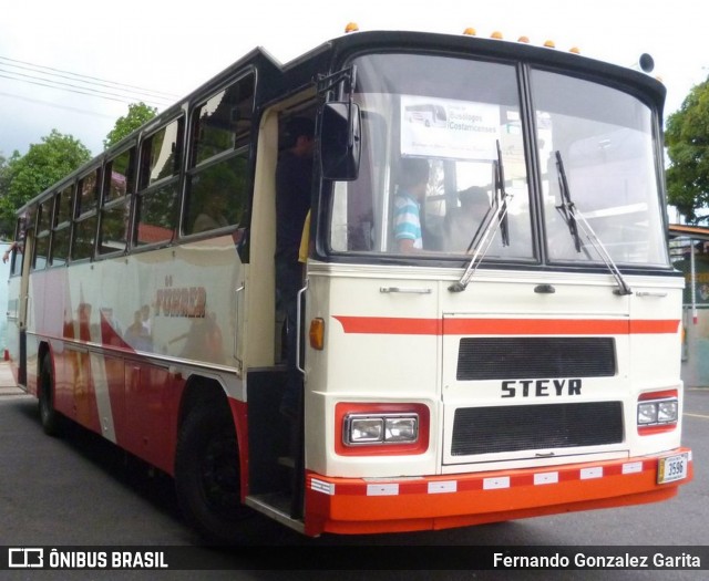 Escalamon SJB 3596 na cidade de San Joaquín, Flores, Heredia, Costa Rica, por Fernando Gonzalez Garita. Número da foto: #6605494.