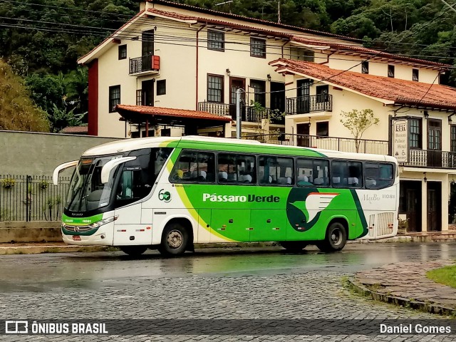 Pássaro Verde 11081 na cidade de Ouro Preto, Minas Gerais, Brasil, por Daniel Gomes. ID da foto: 6606709.