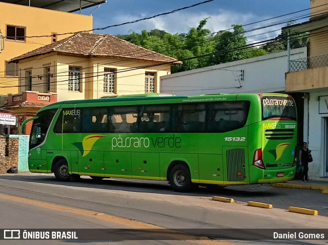 Pássaro Verde 15132 na cidade de Itabirito, Minas Gerais, Brasil, por Daniel Gomes. Número da foto: #6606720.