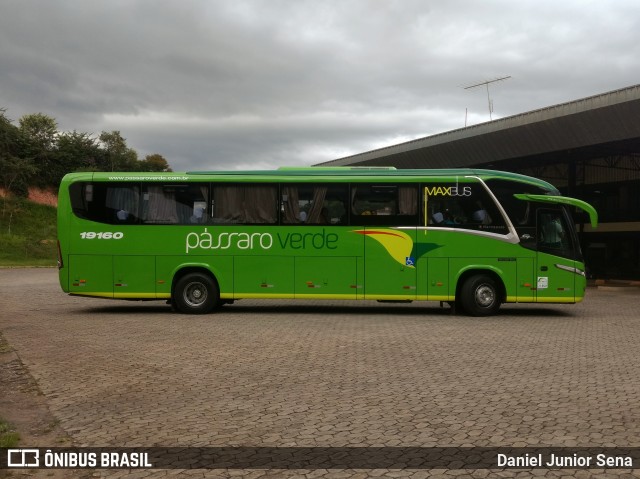 Pássaro Verde 19160 na cidade de Itabirito, Minas Gerais, Brasil, por Daniel Junior Sena. Número da foto: #6607552.