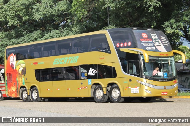 Eucatur - Empresa União Cascavel de Transportes e Turismo 5303 na cidade de São Paulo, São Paulo, Brasil, por Douglas Paternezi. ID da foto: 6608886.