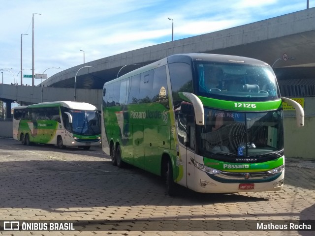 Pássaro Verde 12126 na cidade de Belo Horizonte, Minas Gerais, Brasil, por Matheus Rocha. Número da foto: #6608496.