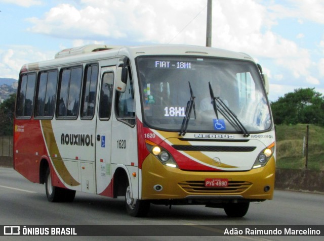 Rouxinol 1620 na cidade de Belo Horizonte, Minas Gerais, Brasil, por Adão Raimundo Marcelino. ID da foto: 6609686.