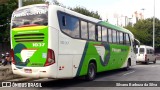 Pássaro Verde 1037 na cidade de Belo Horizonte, Minas Gerais, Brasil, por Silvano Barboza da Silva. Número da foto: #6608371.