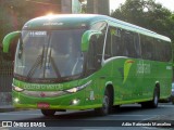 Pássaro Verde 19163 na cidade de Belo Horizonte, Minas Gerais, Brasil, por Adão Raimundo Marcelino. Número da foto: #6611382.