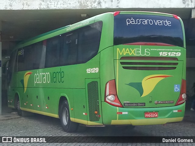 Pássaro Verde 15129 na cidade de Ouro Preto, Minas Gerais, Brasil, por Daniel Gomes. Número da foto: #6548607.