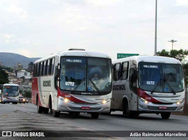 Rouxinol 1420 na cidade de Belo Horizonte, Minas Gerais, Brasil, por Adão Raimundo Marcelino. Número da foto: #6551604.