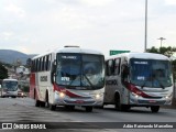Rouxinol 1420 na cidade de Belo Horizonte, Minas Gerais, Brasil, por Adão Raimundo Marcelino. Número da foto: #6551604.