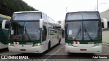 Empresa Gontijo de Transportes 20215 na cidade de Belo Horizonte, Minas Gerais, Brasil, por Fabri Ferreira. Número da foto: #6551431.