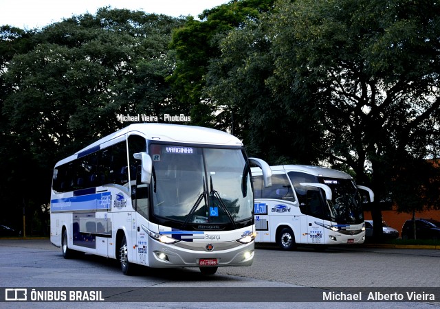 Auto Viação Bragança 18.040 na cidade de São Paulo, São Paulo, Brasil, por Michael  Alberto Vieira. Número da foto: #6555707.