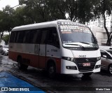 Cooperativas de Transporte Executivo 090602 na cidade de Manaus, Amazonas, Brasil, por Maria Clara. Número da foto: #6555436.