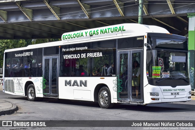 Autobus Ciudad de México  na cidade de Coyoacán, Ciudad de México, México, por José Manuel Núñez Cebada. Número da foto: #6558617.