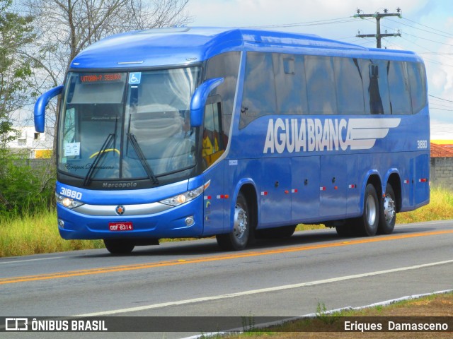 Viação Águia Branca 31880 na cidade de Eunápolis, Bahia, Brasil, por Eriques  Damasceno. Número da foto: #6559868.