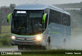 Viação Garcia 8463 na cidade de Apucarana, Paraná, Brasil, por Pedroka Ternoski. Número da foto: #6638616.