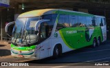 Pássaro Verde 11101 na cidade de Belo Horizonte, Minas Gerais, Brasil, por Aylton Dias. Número da foto: #:id.