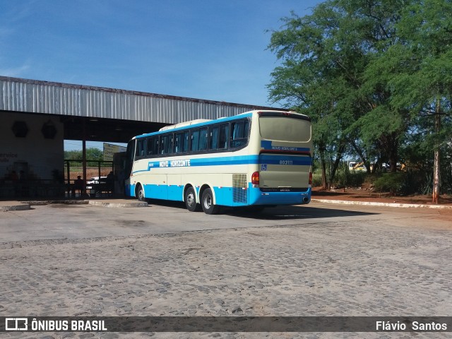 Viação Novo Horizonte 803111 na cidade de Anagé, Bahia, Brasil, por Flávio  Santos. ID da foto: 6641276.