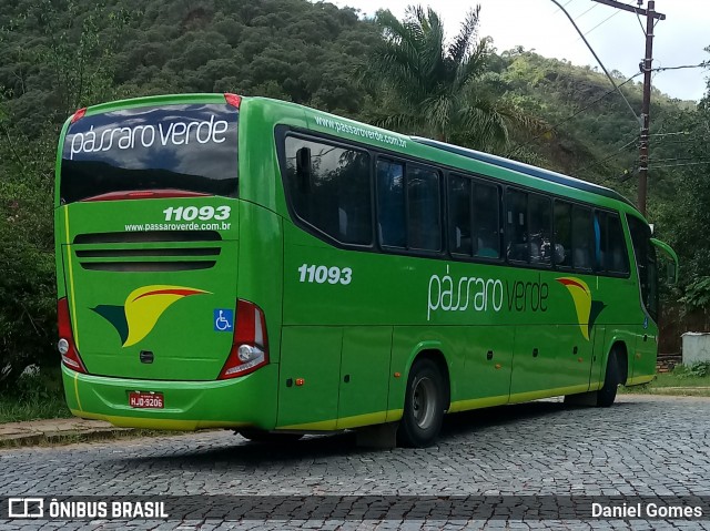 Pássaro Verde 11093 na cidade de Ouro Preto, Minas Gerais, Brasil, por Daniel Gomes. Número da foto: #6644926.