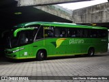 Pássaro Verde 19163 na cidade de Belo Horizonte, Minas Gerais, Brasil, por Luiz Otavio Matheus da Silva. Número da foto: #:id.