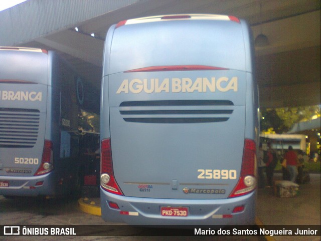 Viação Águia Branca 25890 na cidade de Salvador, Bahia, Brasil, por Mario dos Santos Nogueira Junior. Número da foto: #6649747.