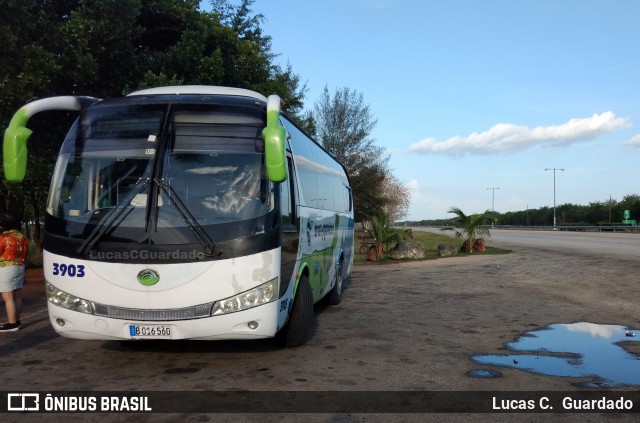 Trans Gaviota 3903 na cidade de La Habana, Cuba, por Lucas C.  Guardado. Número da foto: #6649590.