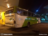Pássaro Verde 29002 na cidade de Belo Horizonte, Minas Gerais, Brasil, por Matheus Rocha. Número da foto: #6650899.