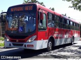 Trevo Transportes Coletivos 1013 na cidade de Porto Alegre, Rio Grande do Sul, Brasil, por Davi Borba. Número da foto: #6648698.