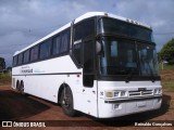 Prefeitura Municipal de Pinhão 30 na cidade de Pinhão, Paraná, Brasil, por Reinaldo Gonçalves. Número da foto: #6650200.