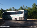 Auto Viação Camurujipe 4119 na cidade de Cruz das Almas, Bahia, Brasil, por Flávio  Santos. Número da foto: #6650085.