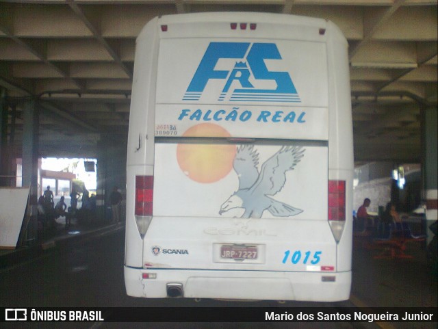 Falcão Real 1015 na cidade de Feira de Santana, Bahia, Brasil, por Mario dos Santos Nogueira Junior. ID da foto: 6653897.