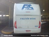 Falcão Real 3805 na cidade de Salvador, Bahia, Brasil, por Mario dos Santos Nogueira Junior. Número da foto: #6652686.