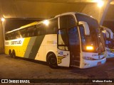 Empresa Gontijo de Transportes 17350 na cidade de Belo Horizonte, Minas Gerais, Brasil, por Matheus Rocha. Número da foto: #6652505.
