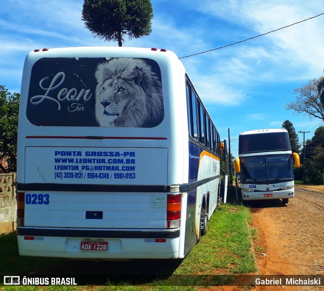 Leon Tur 0293 na cidade de Ponta Grossa, Paraná, Brasil, por Gabriel Michalski. Número da foto: #6659633.
