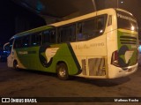 Pássaro Verde 11096 na cidade de Belo Horizonte, Minas Gerais, Brasil, por Matheus Rocha. Número da foto: #6658236.
