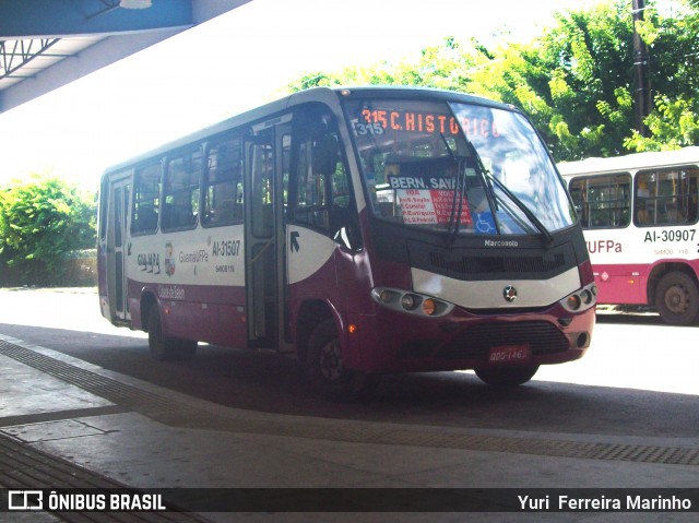 Guajará AI-31507 na cidade de Belém, Pará, Brasil, por Yuri Ferreira Marinho. ID da foto: 6661692.