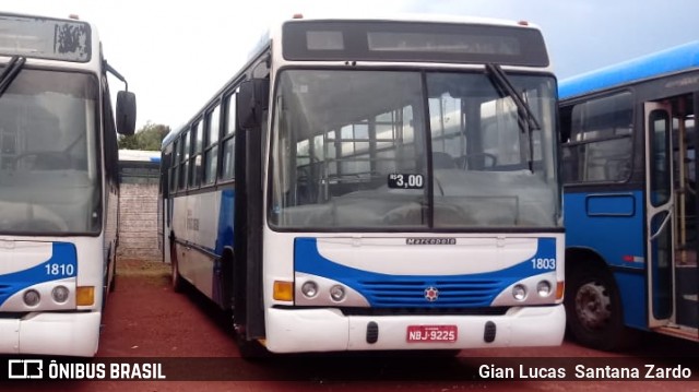 Transpaim Transportes 1803 na cidade de Pimenta Bueno, Rondônia, Brasil, por Gian Lucas  Santana Zardo. ID da foto: 6660105.