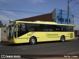 Empresa de Ônibus Tabapuã 700 na cidade de Catanduva, São Paulo, Brasil, por Eric Fra.  Carraro. Número da foto: #6661550.